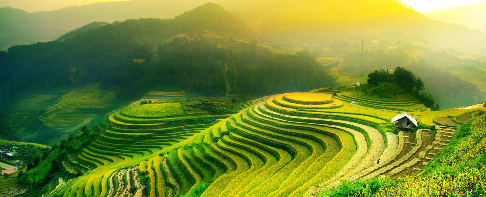 Việt Nam