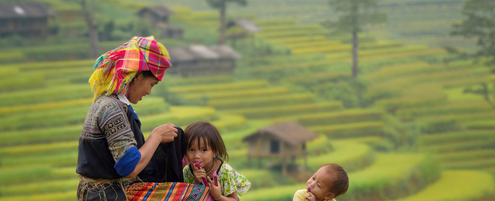 Sapa 