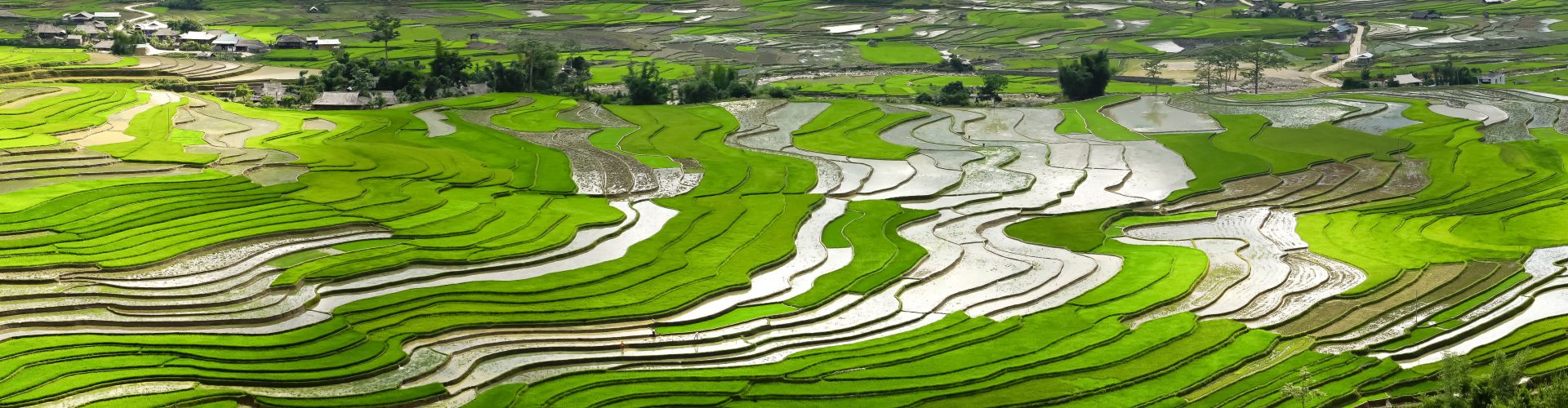 Các bài Blog