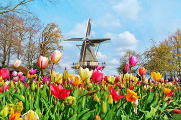 Lễ Hội Hoa Keukenhof Đức - Hà Lan - Bỉ - Pháp 9N8Đ