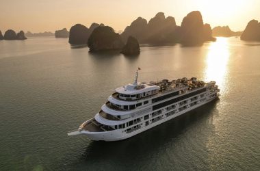 Starlight Cruise (Du Thuyền Ánh Sao) Test