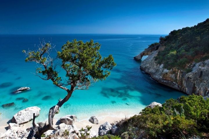 North Vietnam Experience 