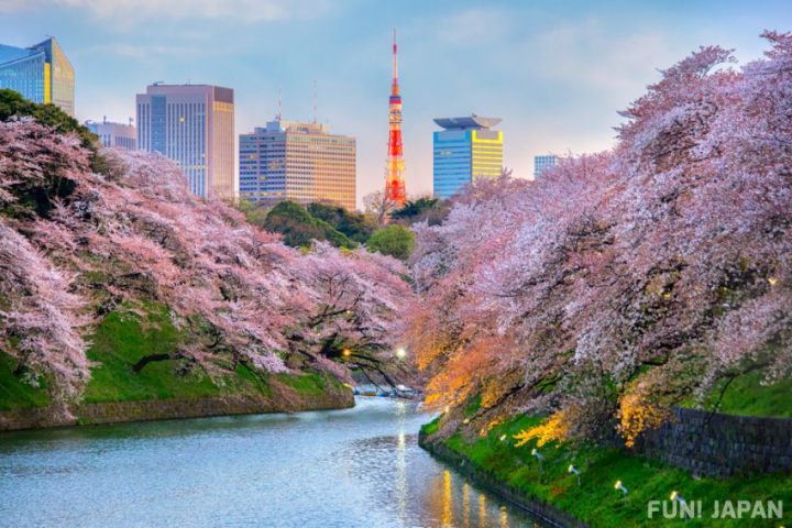Hà Nội – Osaka – Kyoto – Núi Phú Sĩ – Tokyo Mùa Hoa Anh Đào 6N5Đ